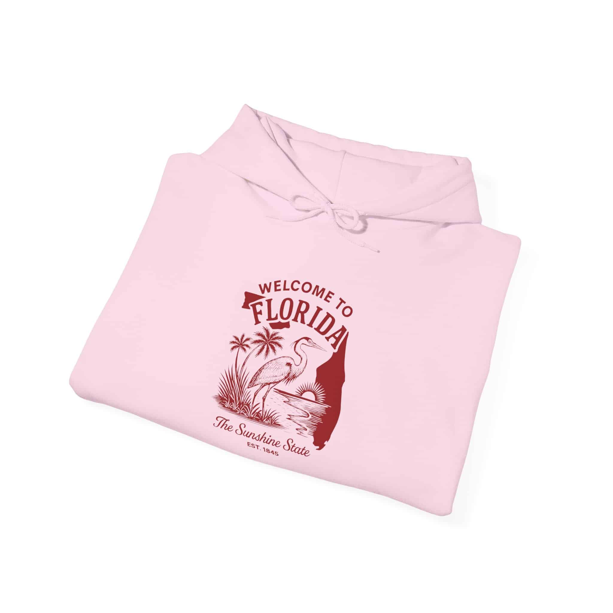 Florida State Hoodie Pullover - Image 16