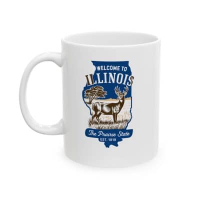 Alternative view of Illinois