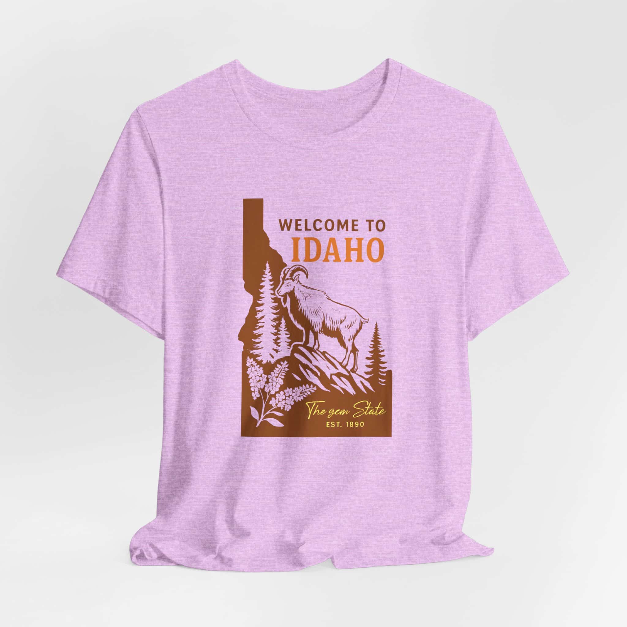 Idaho State T-Shirt - Image 24