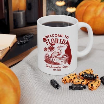 Florida State Mug (11oz/15oz)