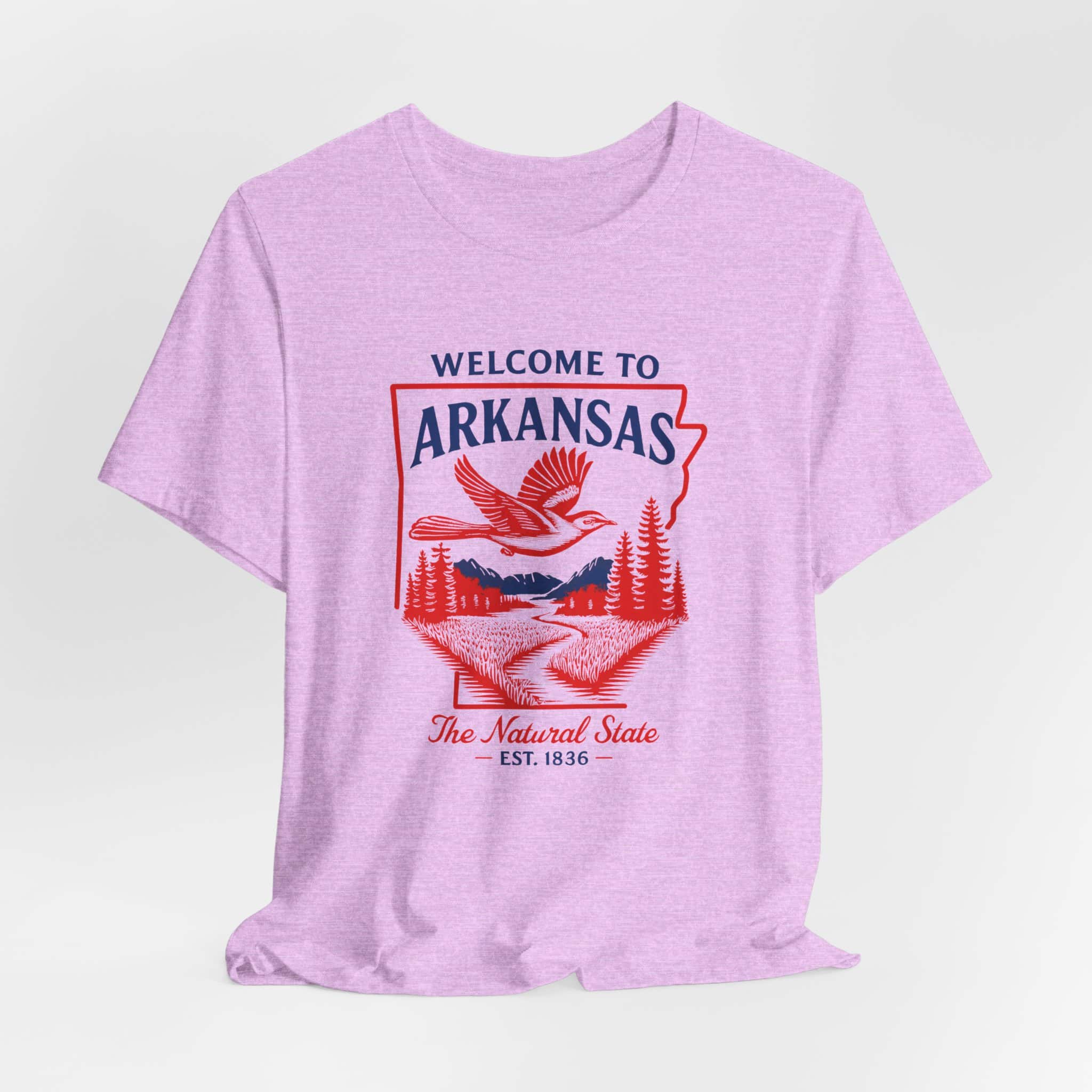 Arkansas State T-Shirt - Image 24
