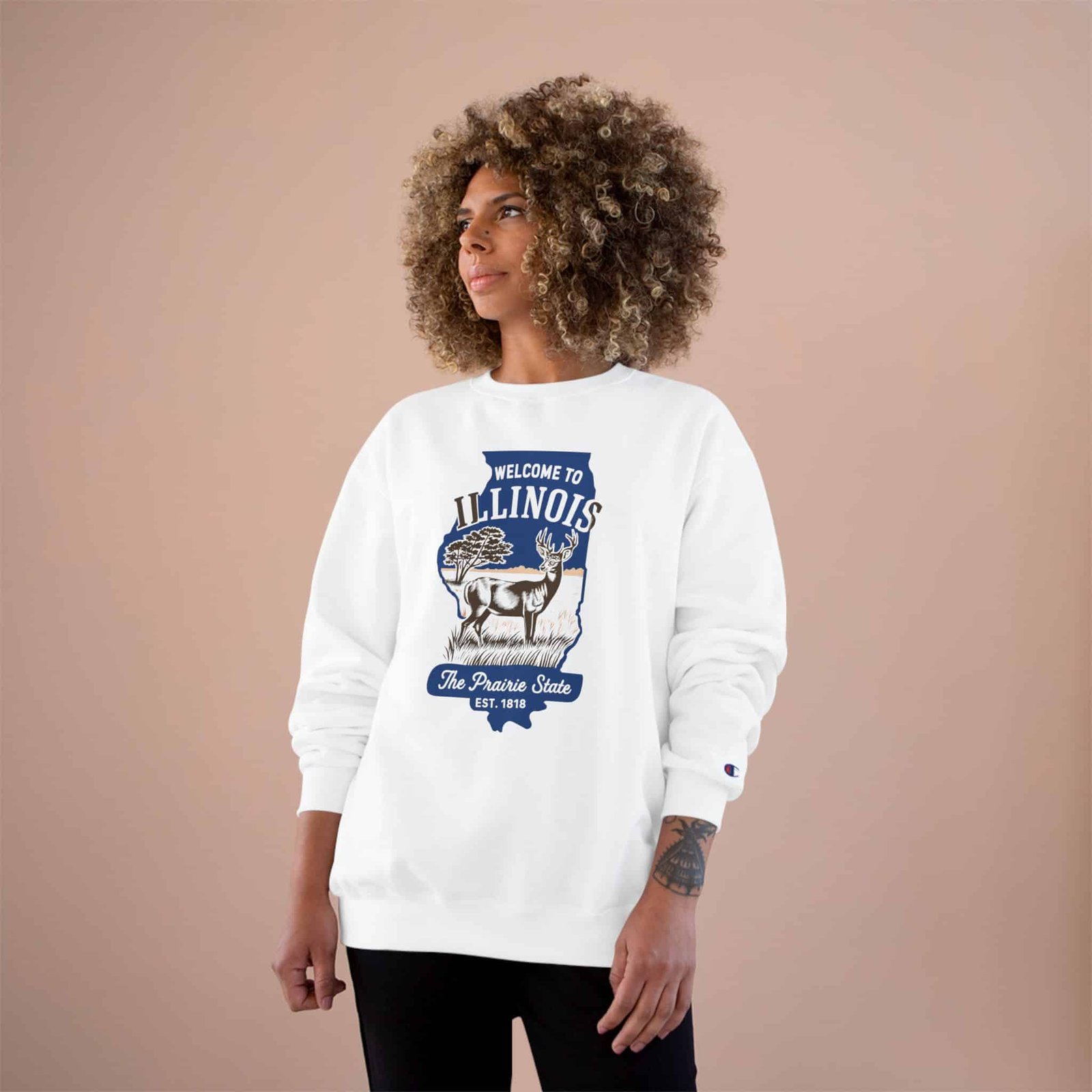 Illinois State Sweatshirt - Image 4