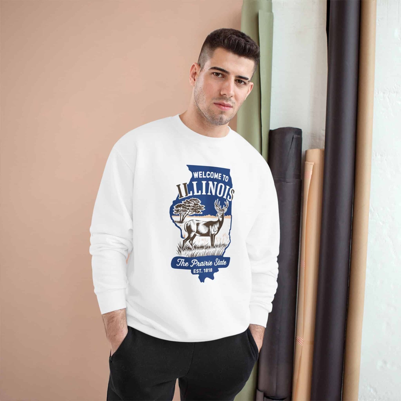 Illinois State Sweatshirt - Image 3